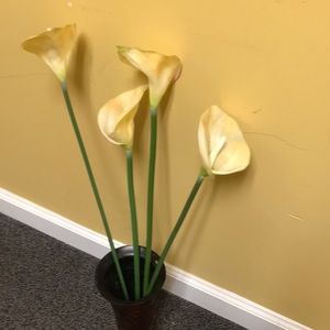 Meet your Posher, Stella